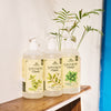 Sapun Natural cu Ulei Esential de Roinita 500ML