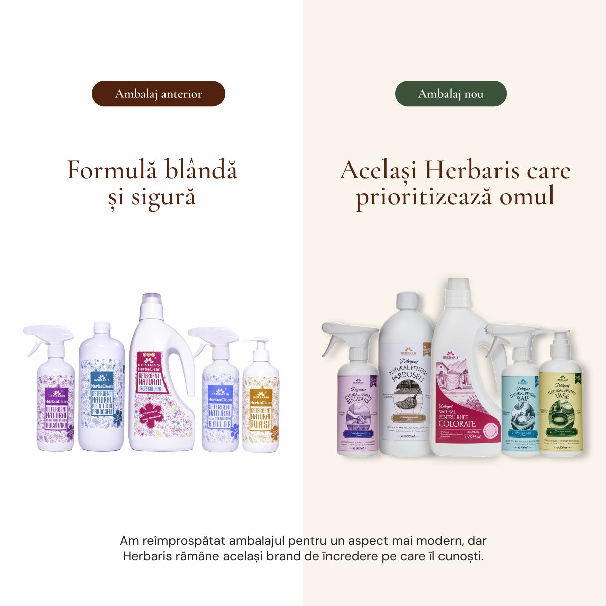 Pachet igiena casei complet (5 detergenti naturali lichizi), produs in românia